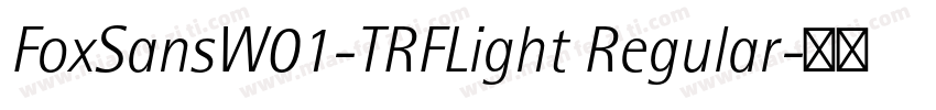 FoxSansW01-TRFLight Regular字体转换